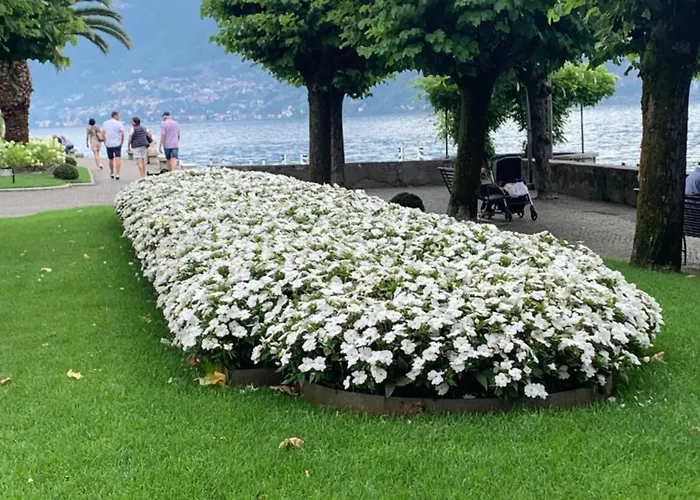 Oda ve Kahvaltı Scala